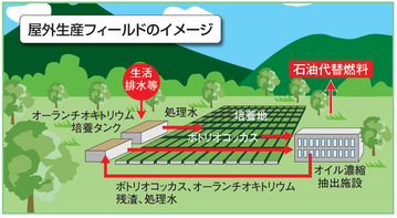 実験フィールド