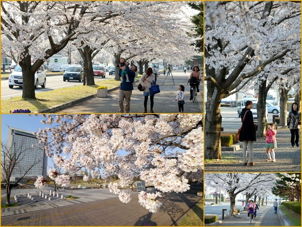 ��ģ�Τ���������