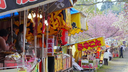 1-130423静八重桜公園a041