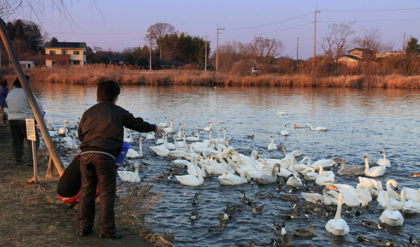 �����ŷ�Ӥ���Ļ