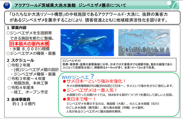 ジンベイザメの展示計画