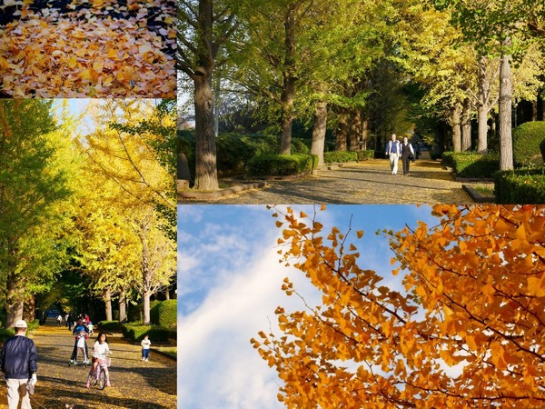 �޾���ư����β���