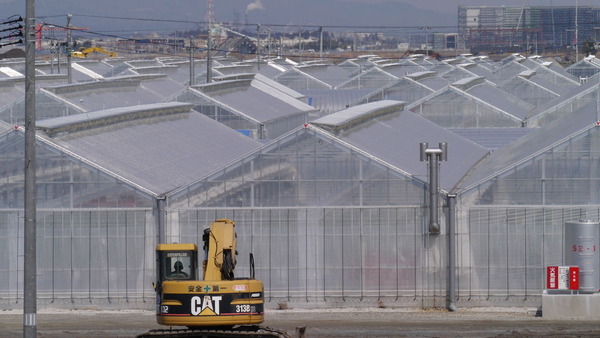 ����Į����������