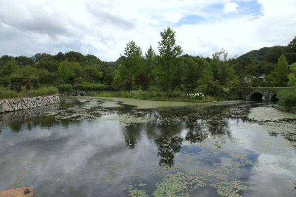 �ڰ������󥰥�å��奬���ǥ�