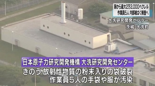 �����ϵ������������泫ȯ���󥿡��פ���Ф�����