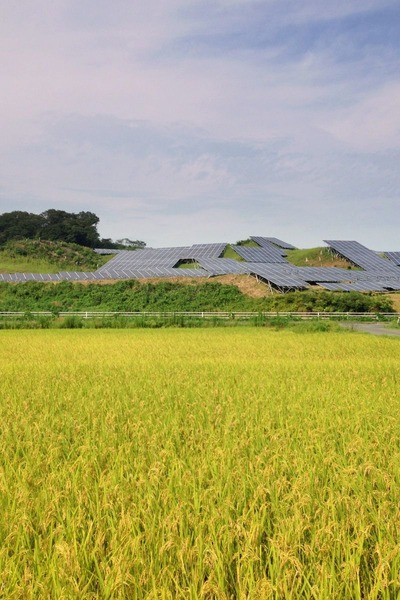 ����Į�齩������