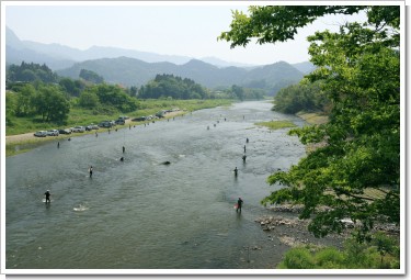 久慈川の鮎釣り(大子町) 久慈川の鮎釣り(大子町)
