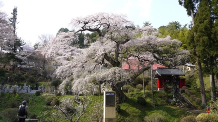 463359_2056872678184_1735643409_1021309_239693916_o