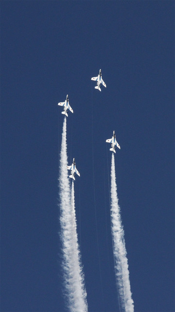 ɴΤ���ϤǤΥ֥롼����ѥ륹