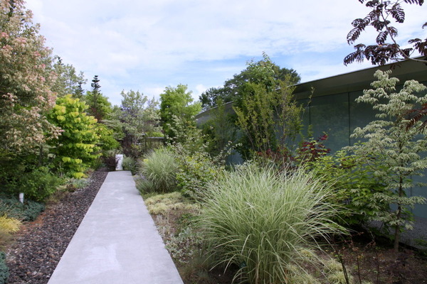 �ڰ����齻���Ѵۥ꡼�ե����ǥ�