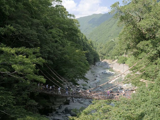 ����ë��������������鶶