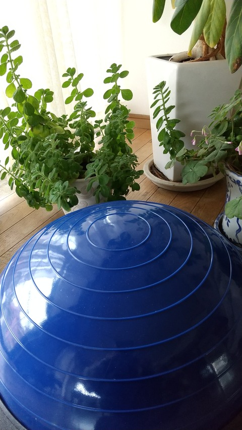 HORIZON_0001_BURST20230321134625749_COVER