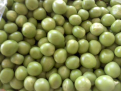グリンピース１