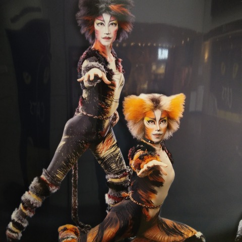 キャッツ4