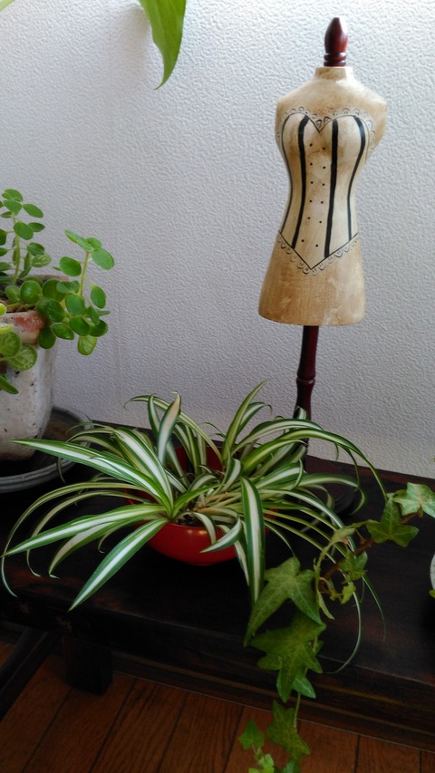 オリズルラン１