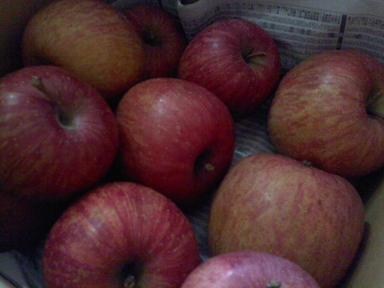 50a7e277.jpg
