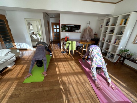 320924784_1344824122729631_2975566590322163671_n