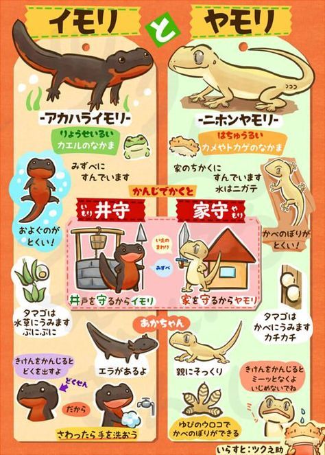 ヤモリ3