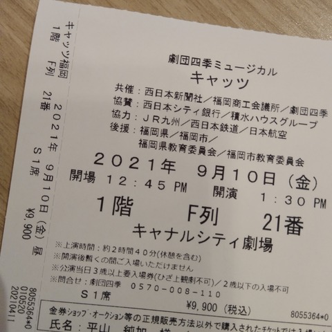 キャッツ2 (2)