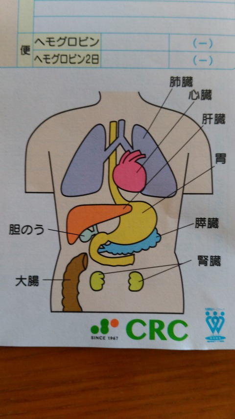 内臓