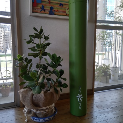 ストレッチポール