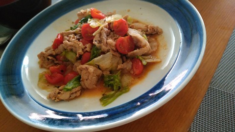 塩麹 豚肉