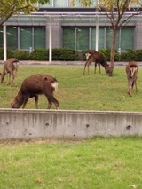 f41b3cf6.jpg