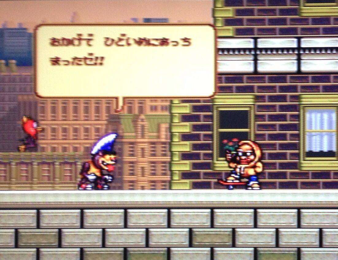 ニトロパンクス コバルトコルビー ニトロパンクス コバルトコルビー