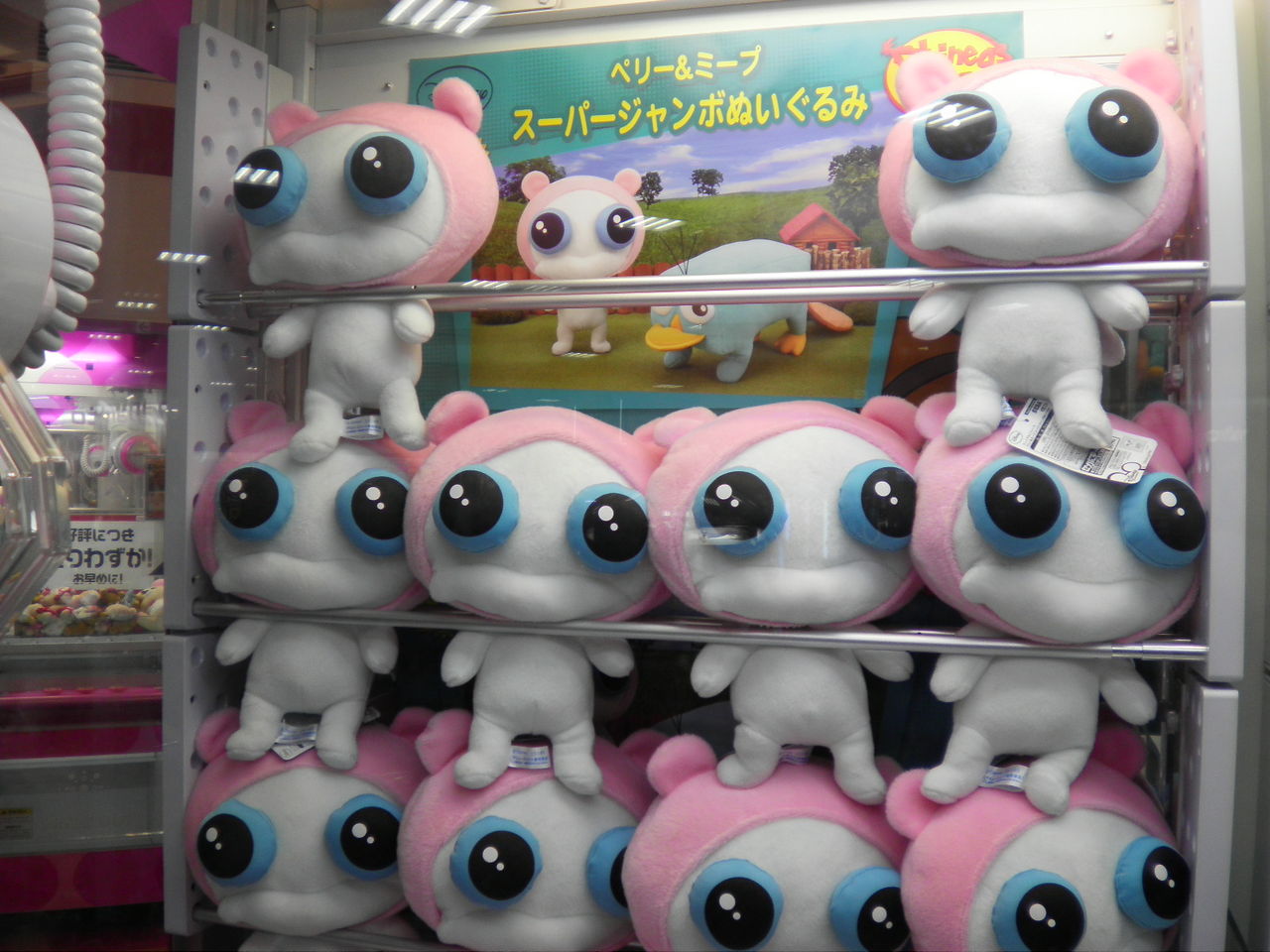 めぐり逢えたわ コバルトコルビー