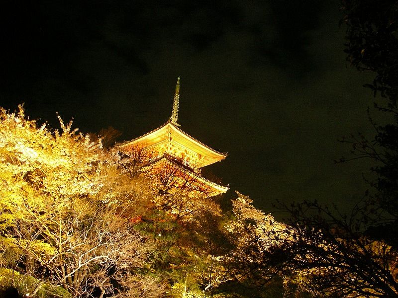 清水寺ライトアップ Domojapan