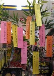 tanabata