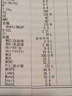 PXL_20250512_023343222