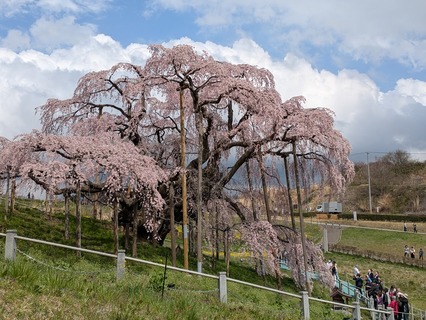 PXL_20250415_034858414
