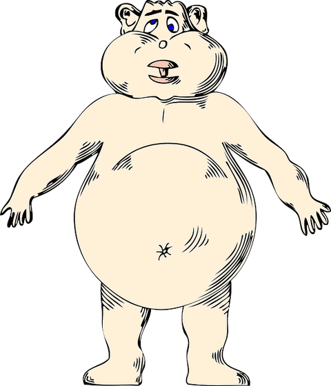 fat-30252_640