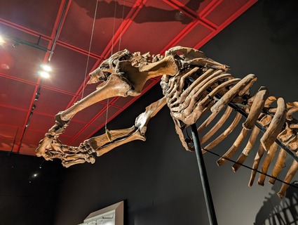 PXL_20250526_002012176