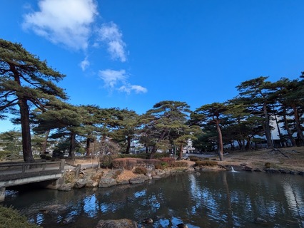 PXL_20241209_011714820