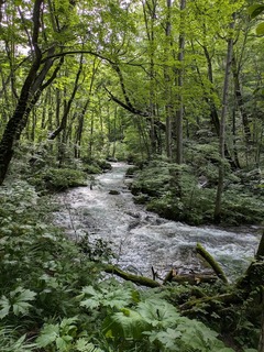 PXL_20240731_054050249