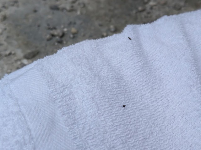 PXL_20240605_001444695