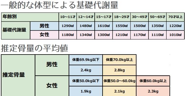 スクリーンショット_17-5-2024_185550_www.yamato-scale.co.jp