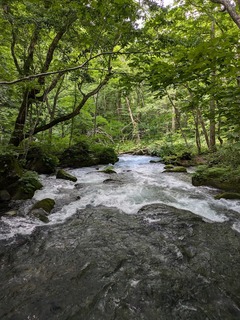 PXL_20240731_060639654