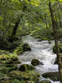 PXL_20240731_040120267