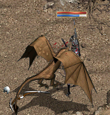 LinC1919_15.bmp