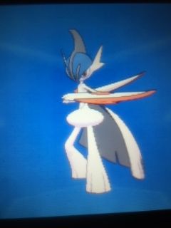 ポケモンｏｒａｓ 国際孵化 ｄｏｎクロニクル