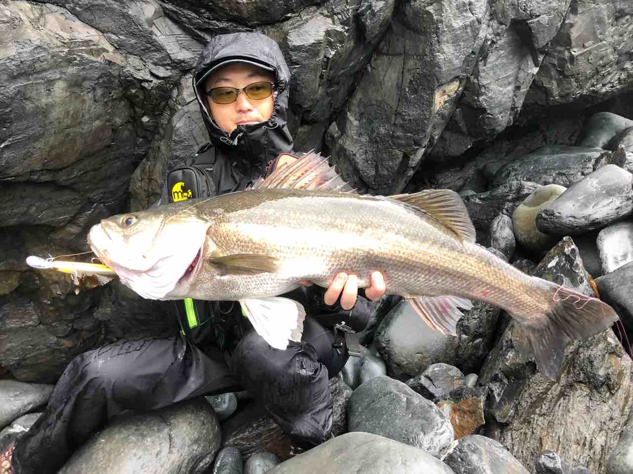 磯マル どんべいの毎日が釣り日和 磯マル どんべいの毎日が釣り日和