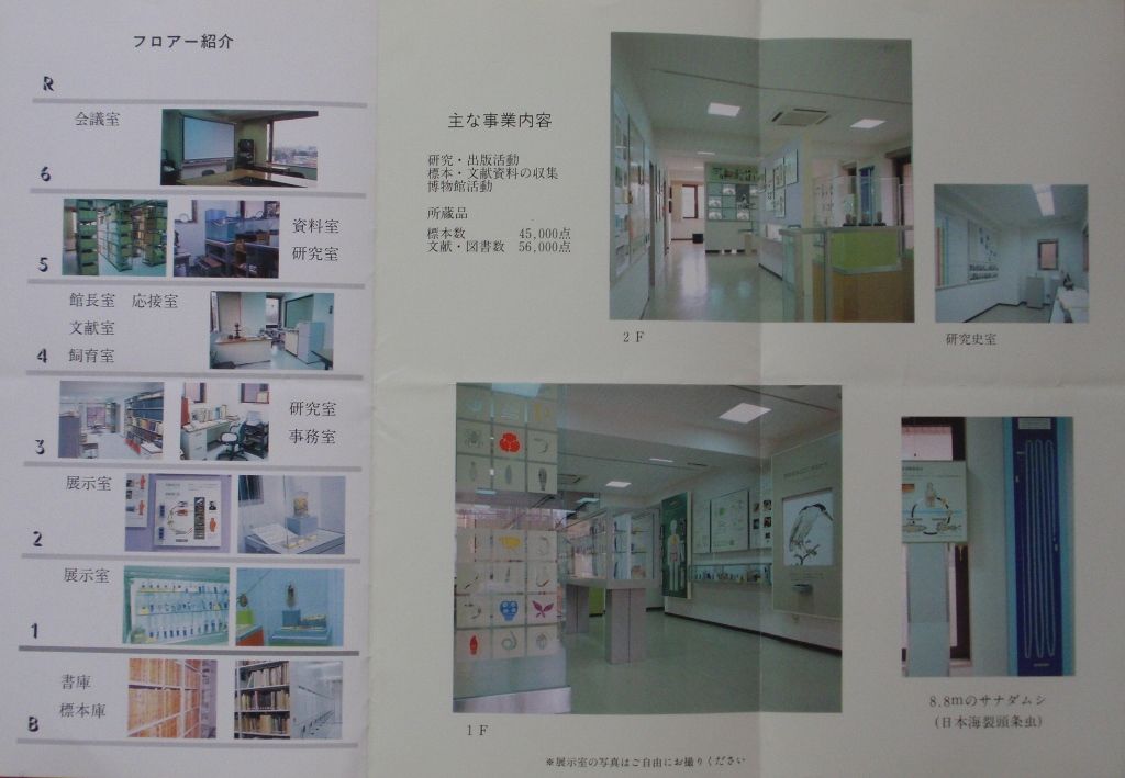 目黒寄生虫館 夢乃又夢