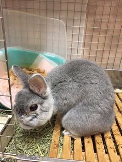 12歳!