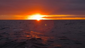 IMG_20261004_053520