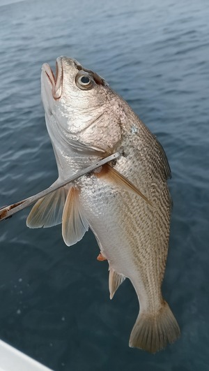 IMG_20261004_131816~2