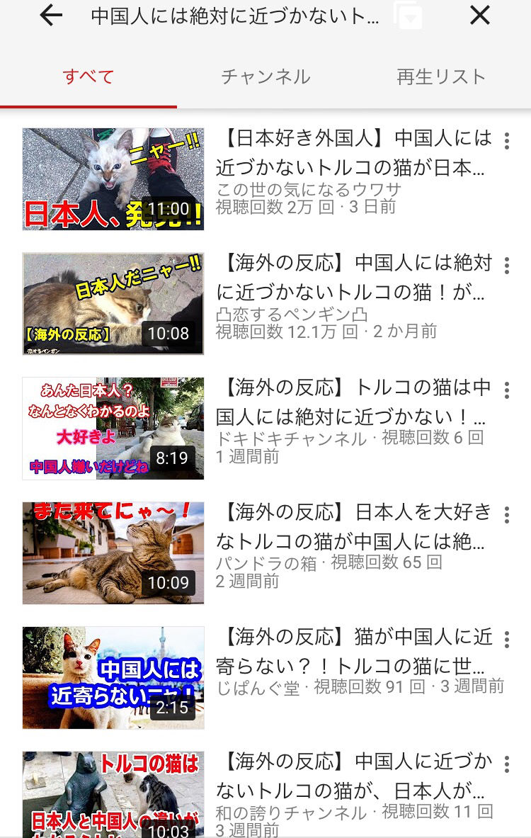 海外の猫の反応 トルコの猫 中国人には絶対に近寄らないのに日本人には近寄る姿が話題 いぬねこ動物集会所