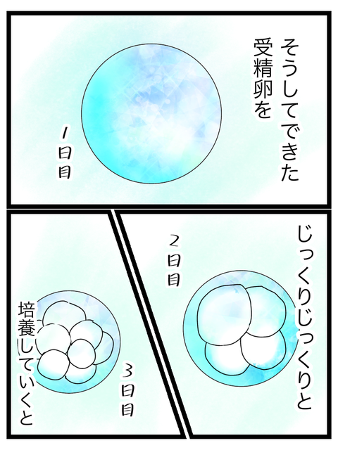 92E08A0A-3B81-46DD-8C66-BFB21B6E971E
